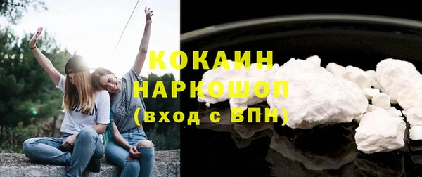 молекула духа Покачи