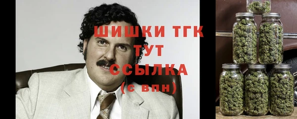 молекула духа Покачи
