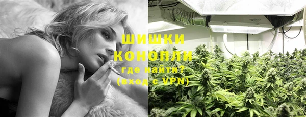 молекула духа Покачи